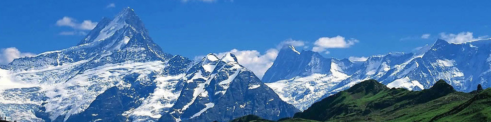 aaaa